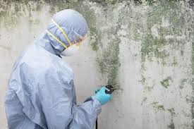 Best Mold Prevention Services  in Mechanicville, NY